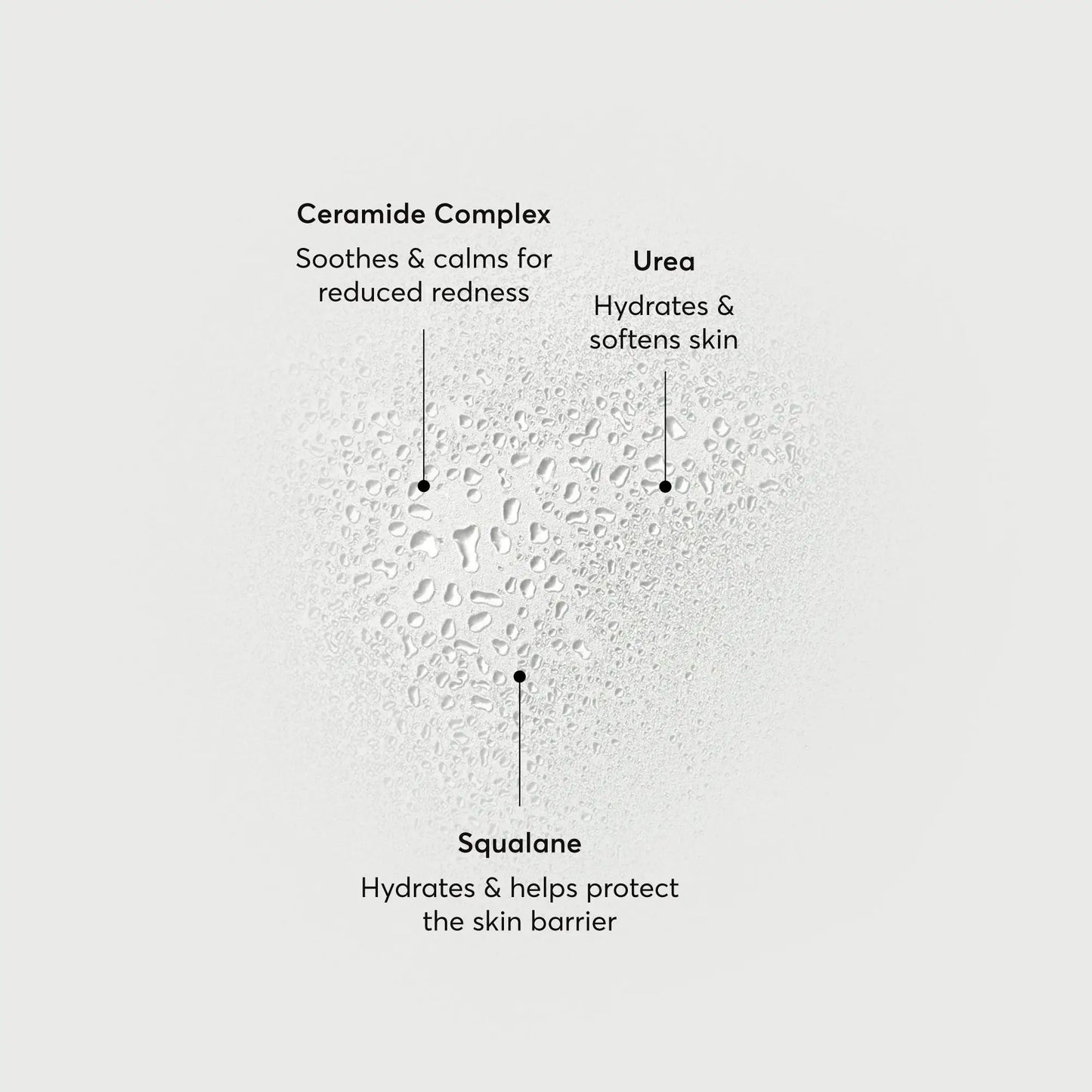 barrier-bounce-bi-phase-mist-k0 NATR-10167-Alt-Images-Barrier-Bounce-Bi-Phase-Toner-Mist_01.webp