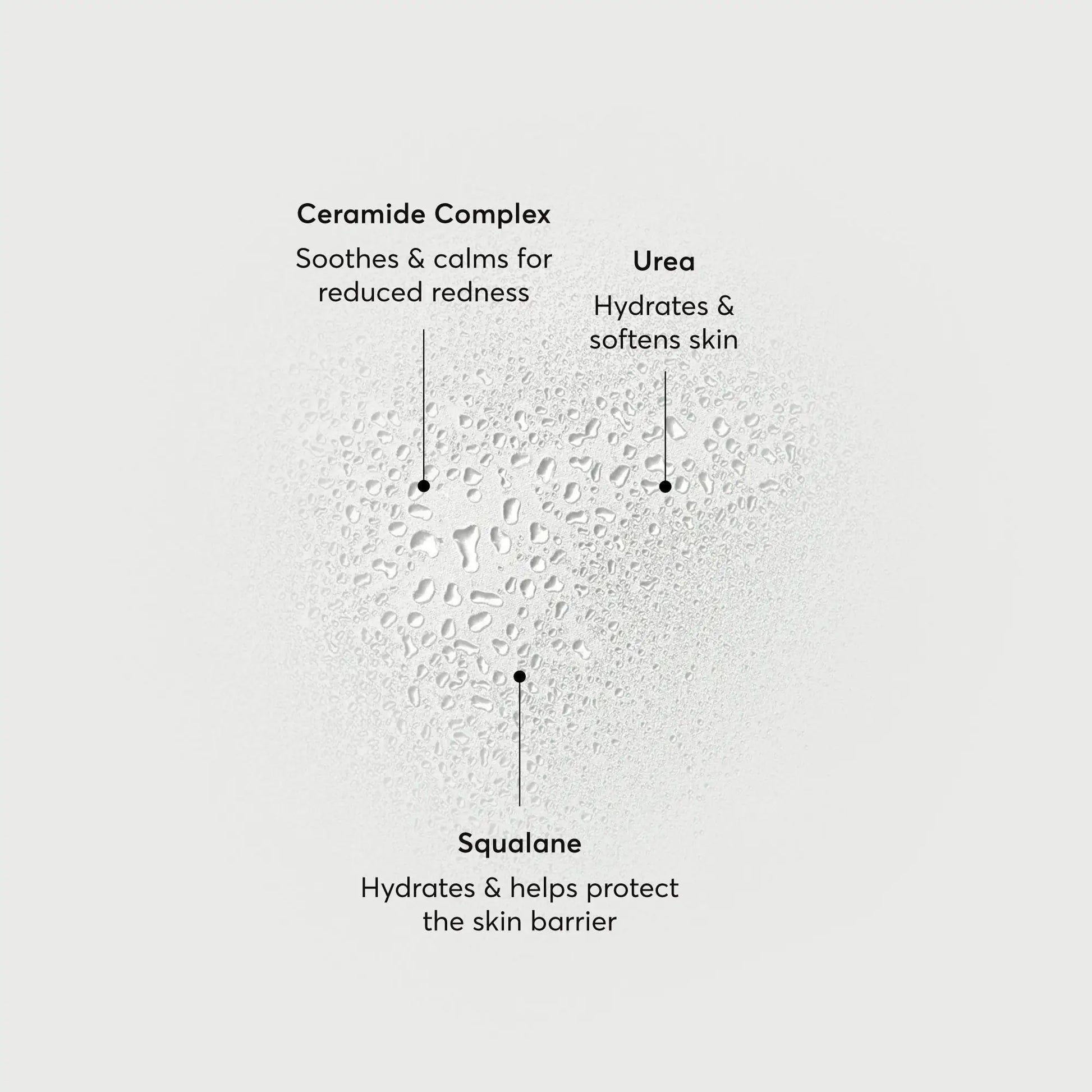 barrier-bounce-bi-phase-mist-k0 NATR-10167-Alt-Images-Barrier-Bounce-Bi-Phase-Toner-Mist_01.webp