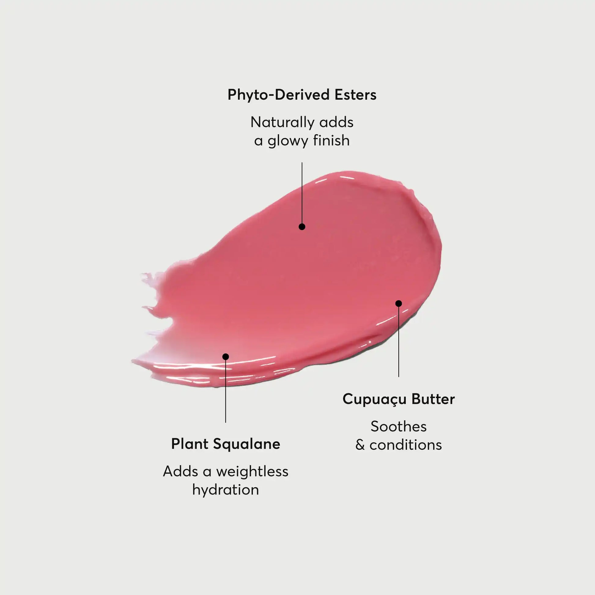 phyto-glow-lip-balm-petal-s9 NATR-60067-Alt-Images-Phyto-Glow-Lip-Balm-Petal-01.webp