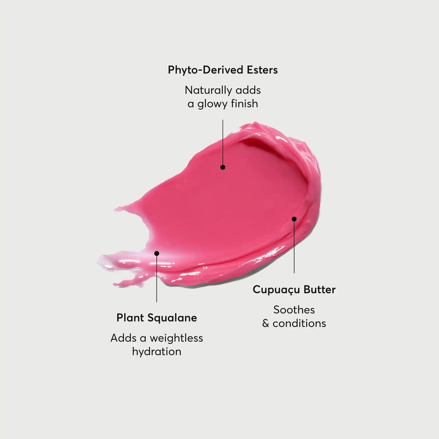 phyto-glow-lip-balm-camellia-b4 NATR-60075-Alt-Images-Phyto-Glow-Lip-Balm-Camellia-01.webp